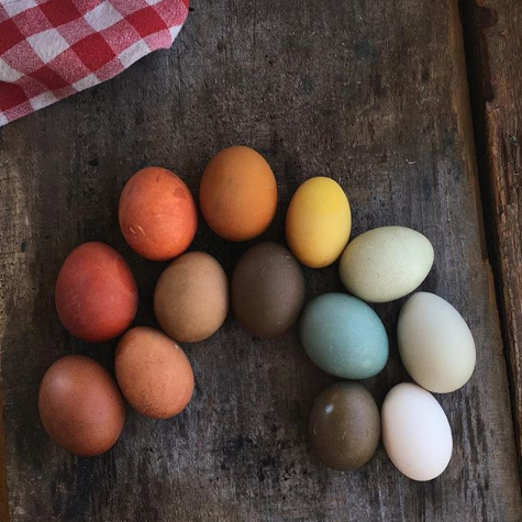 Naturally Dyed Easter Eggs